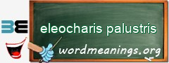 WordMeaning blackboard for eleocharis palustris